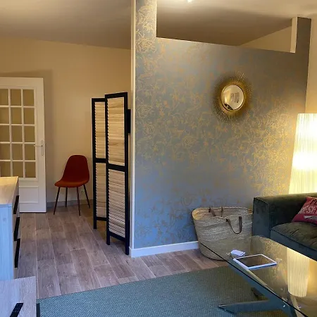 Appartement Grand Equipe Et Renove